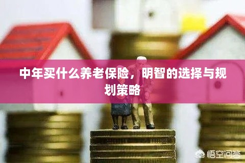 中年明智之选，养老保险的规划与策略-图1