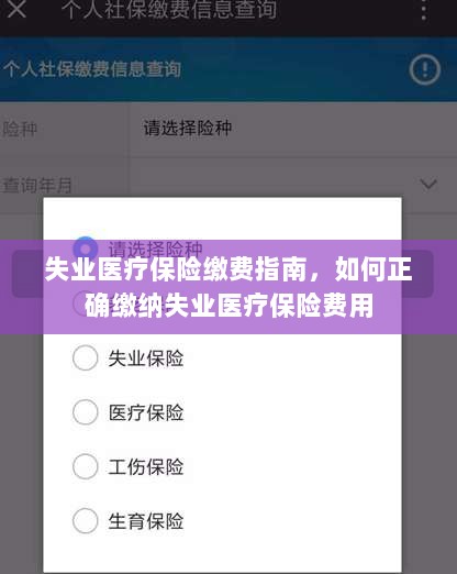 失业医疗保险缴费详解，如何正确缴纳费用指南-图1