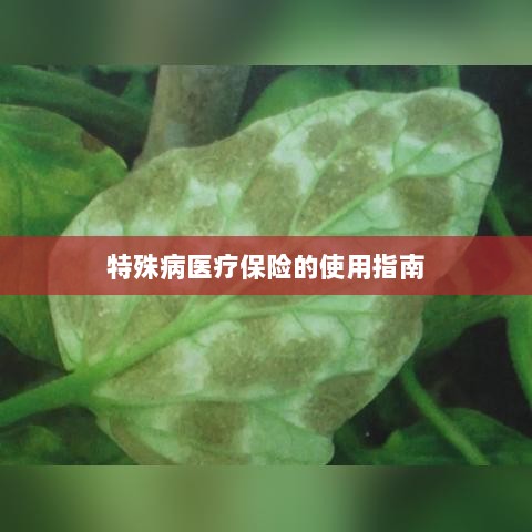 特殊病医疗保险使用指南详解-图1 特殊病医疗保险使用指南详解-图1