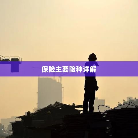 保险主要险种详解概览-图1 保险主要险种详解概览-图1