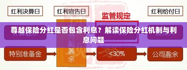 解读保险分红机制，尊越保险分红是否包含利息？-图1