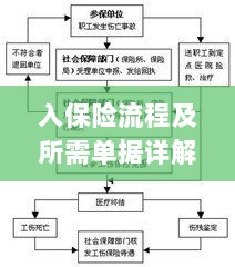 保险投保流程与所需单据全面解析-图1