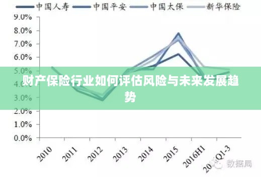 财产保险行业风险评估及未来发展趋势展望-图1