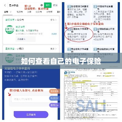 如何查看个人电子保险保单详情-图1