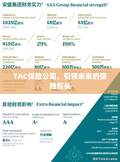 TAC保险公司，引领保险行业未来巨头之路-图1