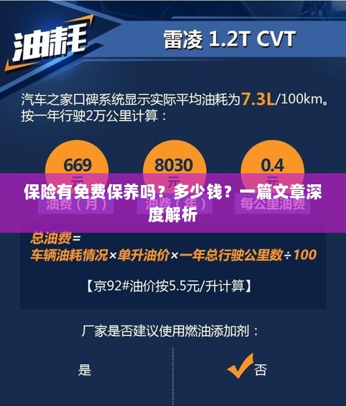 保险免费保养揭秘，费用及深度解析-图1