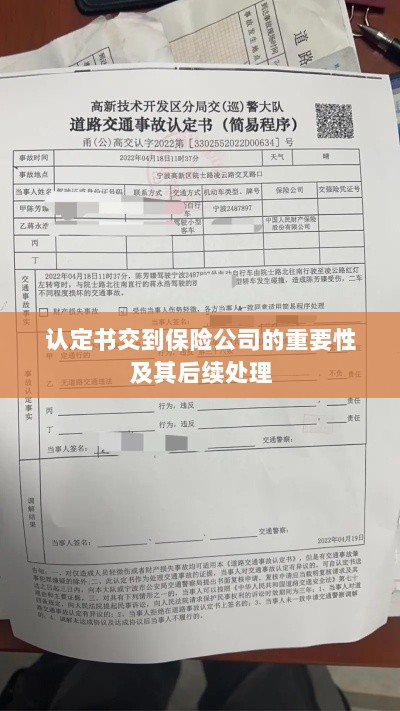 认定书交到保险公司的重要性及后续处理流程详解-图1 认定书交到保险公司的重要性及后续处理流程详解-图1