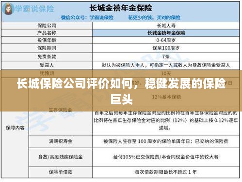 长城保险公司评价及稳健发展的保险巨头概况-图1 长城保险公司评价及稳健发展的保险巨头概况-图1