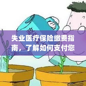 失业医疗保险缴费详解,支付保险费用的指南-图1 失业医疗保险缴费详解,支付保险费用的指南-图1