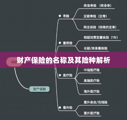 财产保险名称及险种深度解析-图1 财产保险名称及险种深度解析-图1