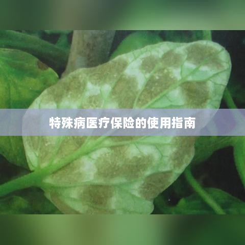 特殊病医疗保险使用指南详解-图1 特殊病医疗保险使用指南详解-图1