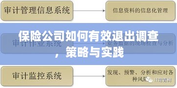 保险公司有效退出调查的策略与实践探讨-图1