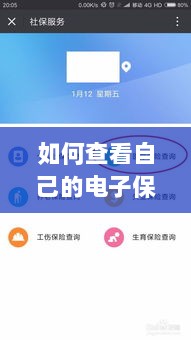 如何查看个人电子保险保单详情-图1