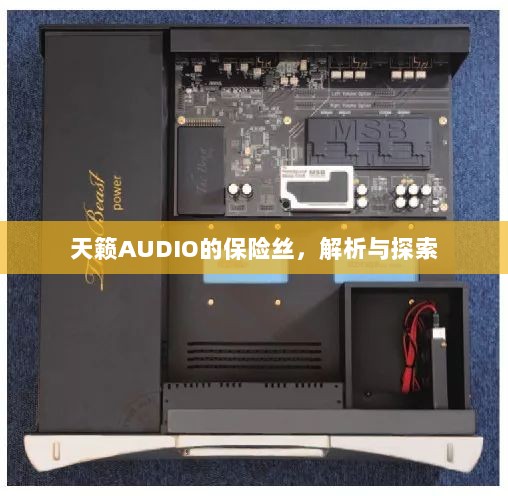 天籁AUDIO保险丝解析与探索-图1