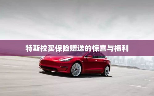 特斯拉保险购买赠品与惊喜福利概述-图1