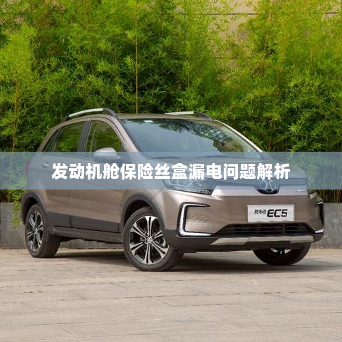 发动机舱保险丝盒漏电问题深度解析-图1 发动机舱保险丝盒漏电问题深度解析-图1