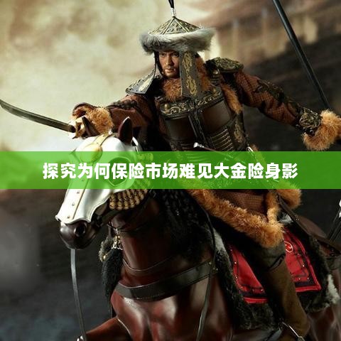 大金险在保险市场难觅踪迹的探究-图1 大金险在保险市场难觅踪迹的探究-图1