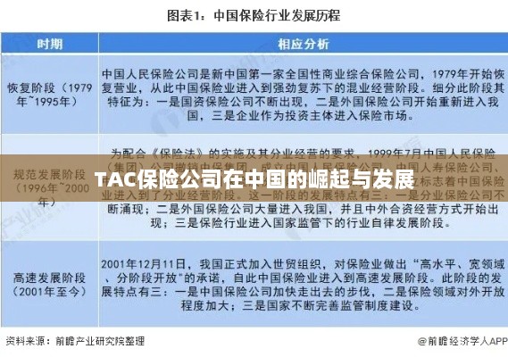 TAC保险公司在中国的崛起与蓬勃发展之路-图1