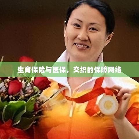 生育保险与医保,交织的保障网络探秘-图1 生育保险与医保,交织的保障网络探秘-图1