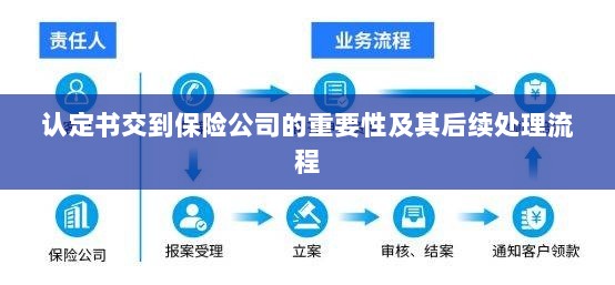 认定书对保险公司的重要性及后续处理流程详解-图1 认定书对保险公司的重要性及后续处理流程详解-图1