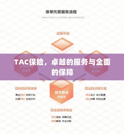 TAC保险,卓越服务,全面保障-图1 TAC保险,卓越服务,全面保障-图1