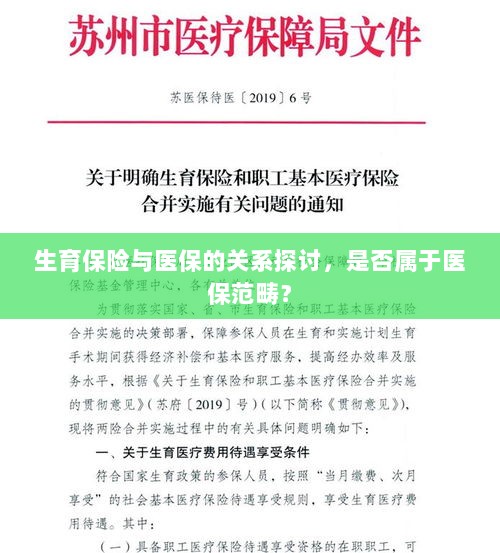 生育保险与医保的关系解析,是否属于医保范畴?-图1 生育保险与医保的关系解析,是否属于医保范畴?-图1