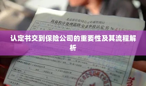 认定书交到保险公司的流程解析与重要性探讨-图1 认定书交到保险公司的流程解析与重要性探讨-图1