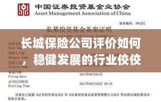 长城保险公司评价积极,行业稳健发展的佼佼者-图1 长城保险公司评价积极,行业稳健发展的佼佼者-图1