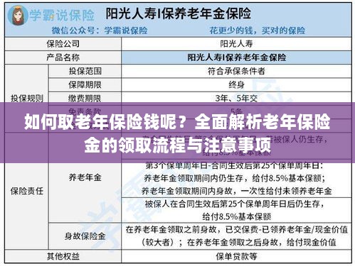全面解析，老年保险金的领取流程与注意事项指南——如何顺利领取老年保险金？-图1