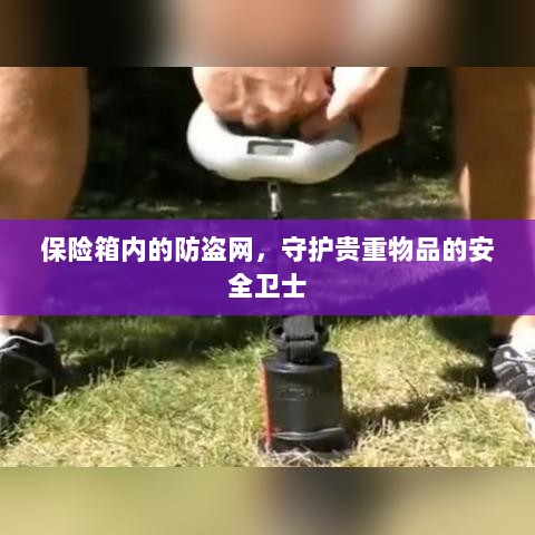 保险箱内防盗网，守护贵重物品的安全屏障-图1
