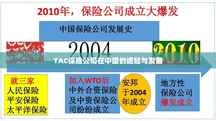 TAC保险公司在中国的崛起与蓬勃发展之路-图1