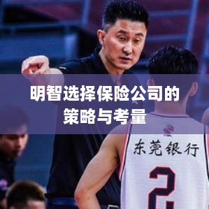 明智选择保险公司的策略与考量指南-图1 明智选择保险公司的策略与考量指南-图1