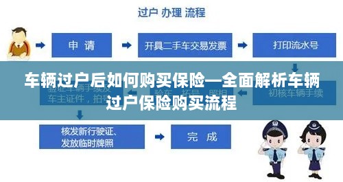 车辆过户后保险购买指南，全面解析车辆过户保险购买流程-图1