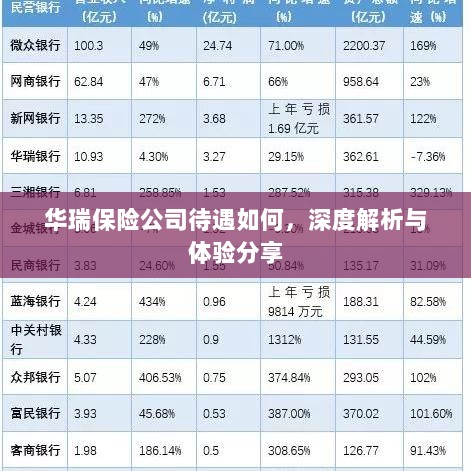 华瑞保险公司待遇深度解析与体验分享-图1