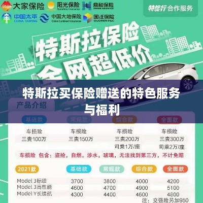 特斯拉保险特惠，独家特色服务与丰厚赠品等你来享-图1