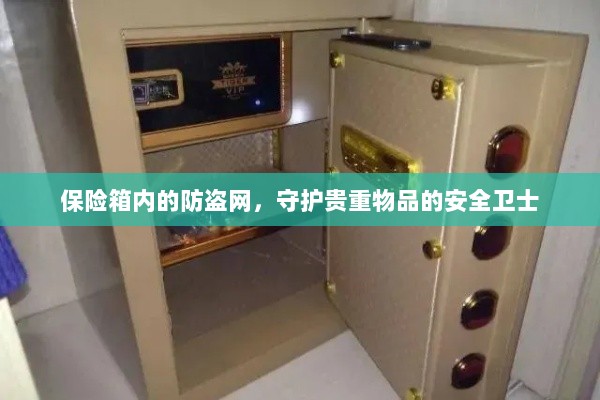 保险箱内防盗网，守护贵重物品的安全屏障-图1