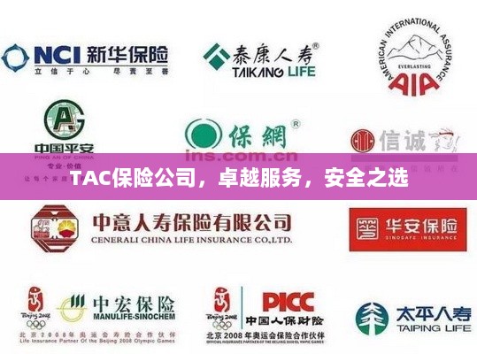 TAC保险公司，卓越服务，信赖的安全之选-图1
