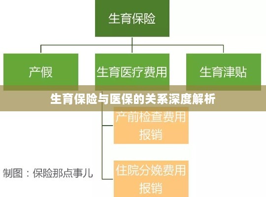 生育保险与医保关系的深度探讨-图1