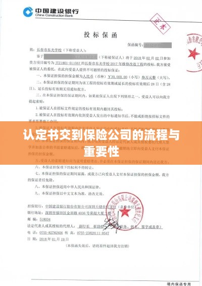 认定书交到保险公司的流程及其重要性概述-图1 认定书交到保险公司的流程及其重要性概述-图1