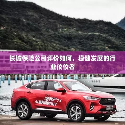 长城保险公司评价积极，行业稳健发展的佼佼者-图1