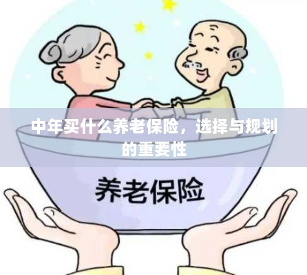 中年养老保险的选择与规划,关键性与策略探讨-图1 中年养老保险的选择与规划,关键性与策略探讨-图1
