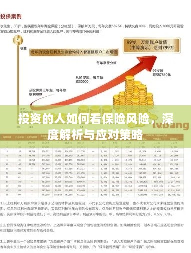 深度解析，投资者眼中的保险风险与应对策略-图1