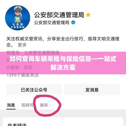 一站式查询车辆年检与保险信息指南-图1