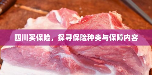 四川保险探秘，种类与保障内容全解析-图1