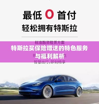 特斯拉保险赠品特色服务与福利深度解析-图1 特斯拉保险赠品特色服务与福利深度解析-图1