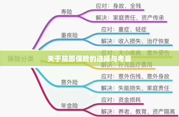 脑部保险的选择与考量指南-图1 脑部保险的选择与考量指南-图1