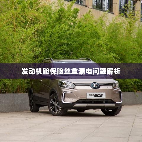 发动机舱保险丝盒漏电问题深度解析-图1 发动机舱保险丝盒漏电问题深度解析-图1