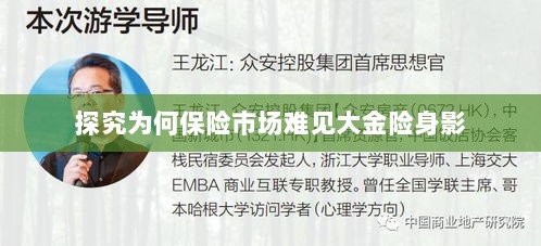 大金险在保险市场难觅踪迹的探究-图1 大金险在保险市场难觅踪迹的探究-图1