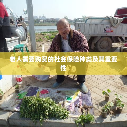 老人需购买的社会保险种类及其重要性概览-图1 老人需购买的社会保险种类及其重要性概览-图1