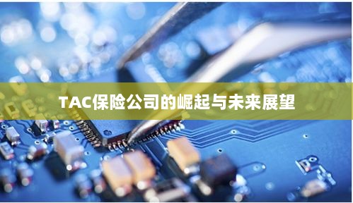 TAC保险公司的崛起及未来展望-图1 TAC保险公司的崛起及未来展望-图1
